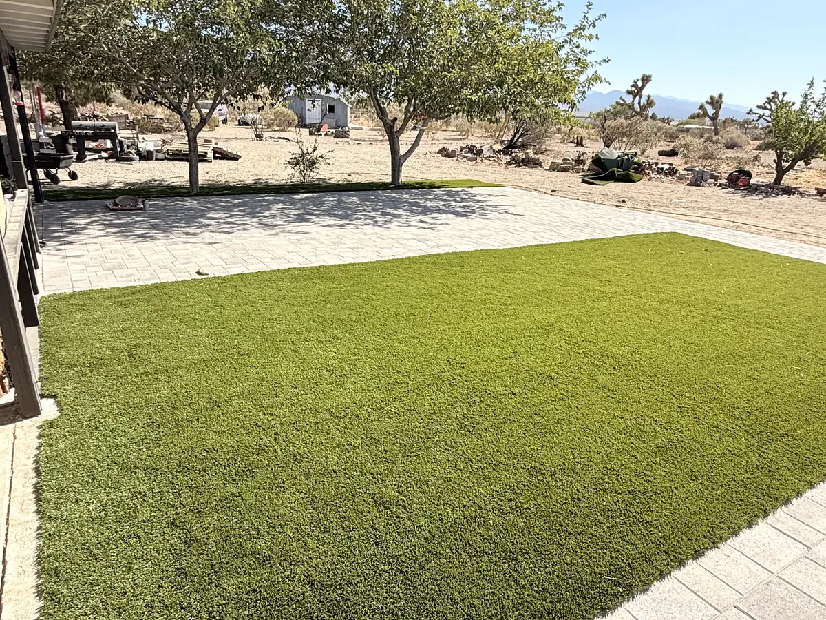 Green turf beside pale pavers under mature trees, with ordinary rural yard details in the distance.